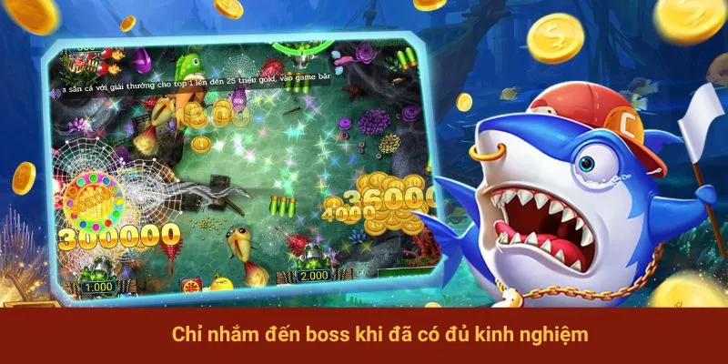 Chỉ nhắm đến boss khi đã có đủ kinh nghiệm