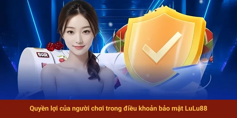 Quyền lợi của người chơi trong điều khoản bảo mật LuLu88