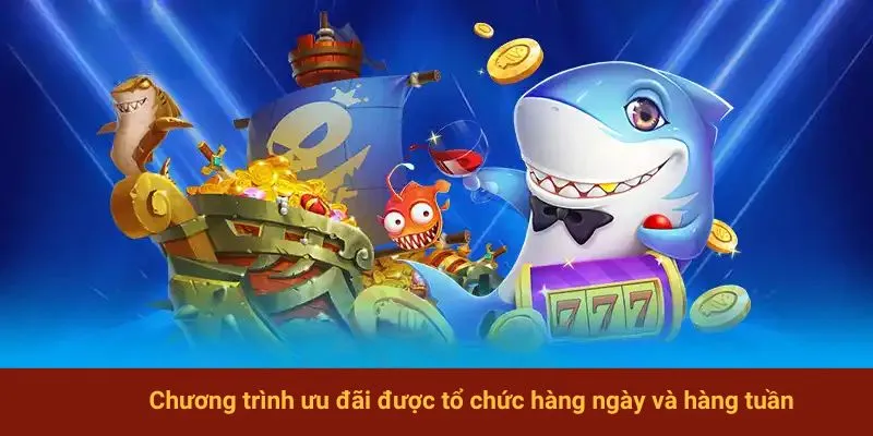 Chương trình ưu đãi được tổ chức hàng ngày và hàng tuần