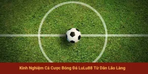Kinh nghiệm cá cược LuLu88