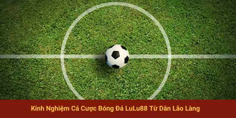 Kinh nghiệm cá cược LuLu88