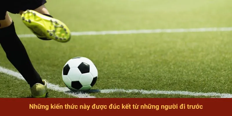 Những kiến thức này được đúc kết từ những người đi trước