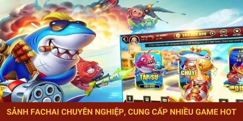 Sản xuất Fachai chuyên nghiệp, cung cấp nhiều sản phẩm hot