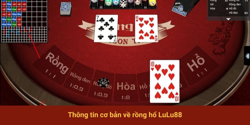 Thông tin cơ bản về rồng hổ LuLu88
